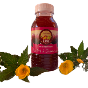 Nectar de Tuno Cactus 25cl